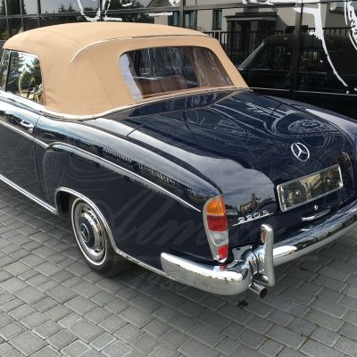 Mercedes Benz 220 S (#5)