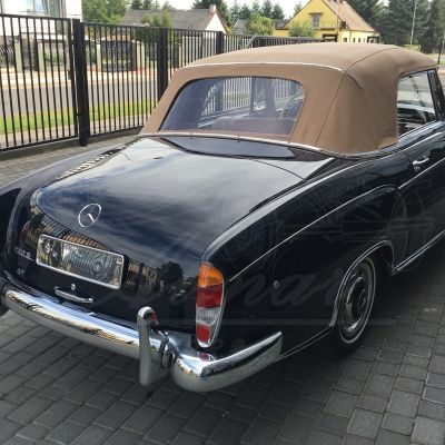 Mercedes Benz 220 S (#6)