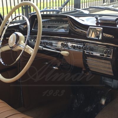 Mercedes Benz 220 S (#10)